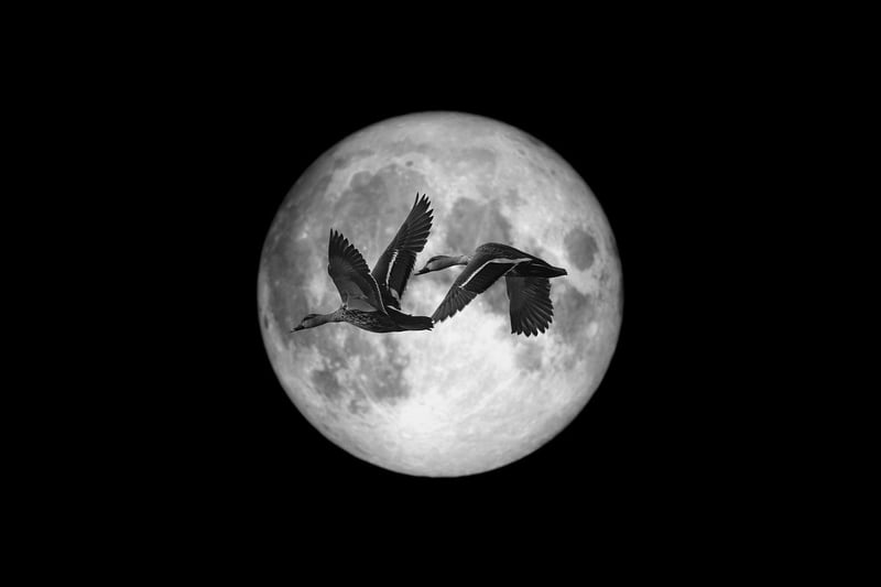 Moonlit Tales