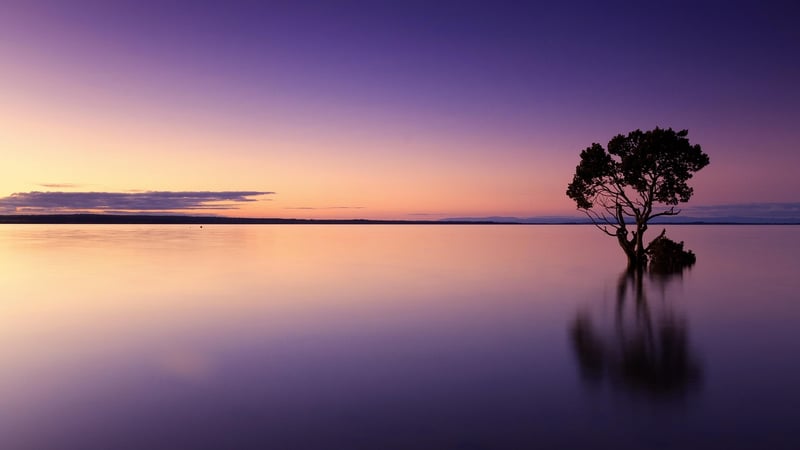 Sunset Soiree Image